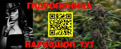 дурь Гусев
