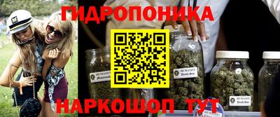 дурь Гусев