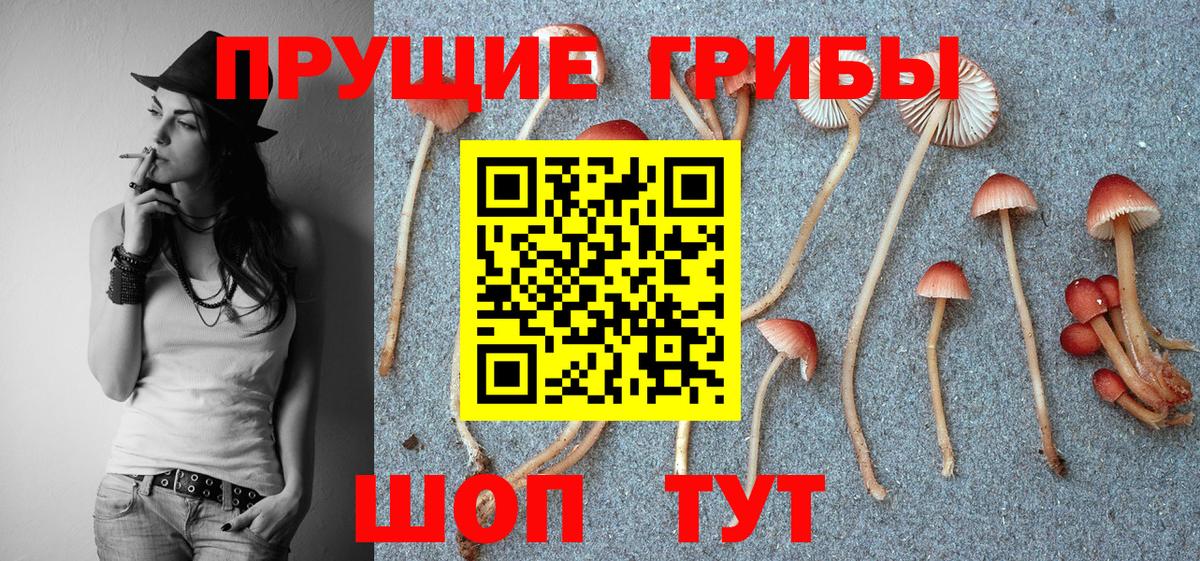 Галлюциногенные грибы ЛСД  Вход с VPN  Кингисепп  Псилоцибиновые грибы прущие грибы 